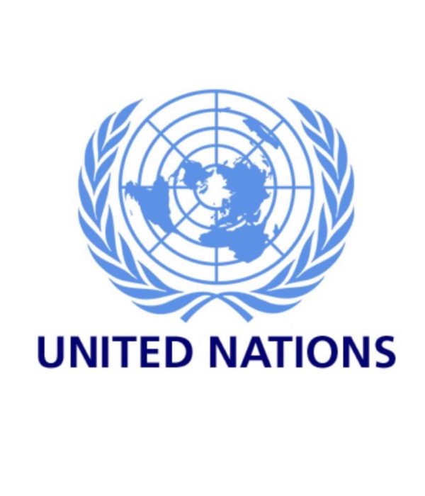 united nations icon 